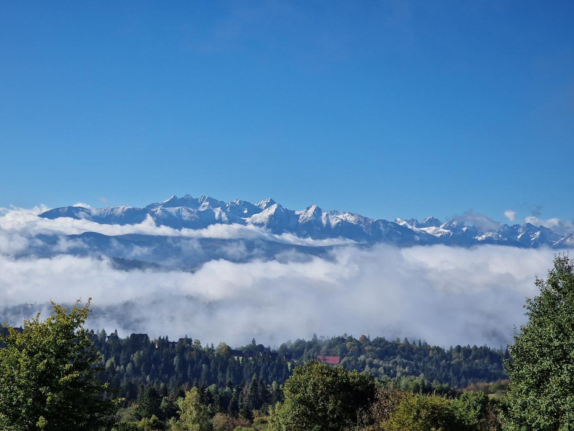 Lobrotno Gazdzina - Goralska Chalupa Na Wylacznosc Bukowina Tatrzańska Dış mekan fotoğraf