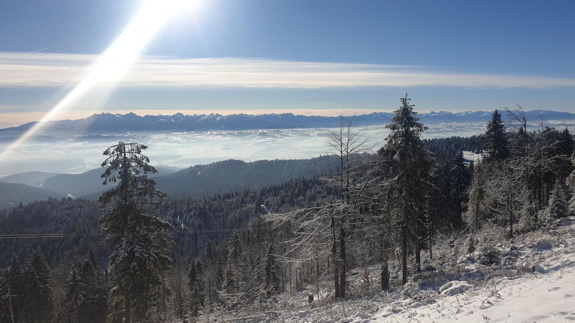 Lobrotno Gazdzina - Goralska Chalupa Na Wylacznosc Bukowina Tatrzańska Dış mekan fotoğraf